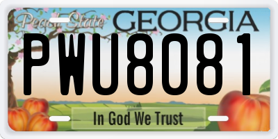 GA license plate PWU8081