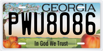 GA license plate PWU8086