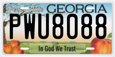 GA license plate PWU8088