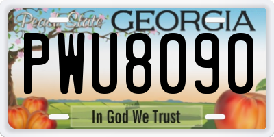 GA license plate PWU8090