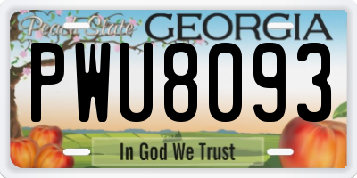 GA license plate PWU8093