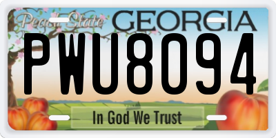 GA license plate PWU8094