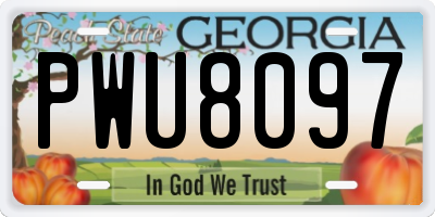 GA license plate PWU8097