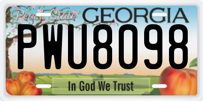 GA license plate PWU8098