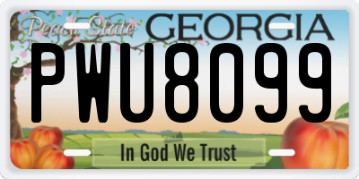 GA license plate PWU8099
