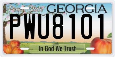 GA license plate PWU8101