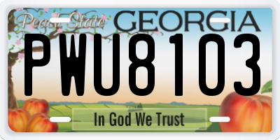 GA license plate PWU8103