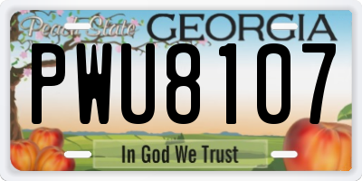 GA license plate PWU8107