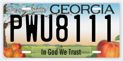 GA license plate PWU8111
