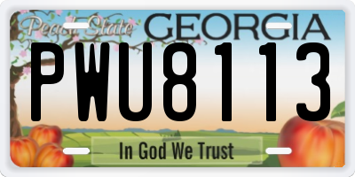 GA license plate PWU8113
