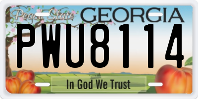 GA license plate PWU8114