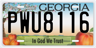 GA license plate PWU8116