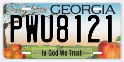 GA license plate PWU8121