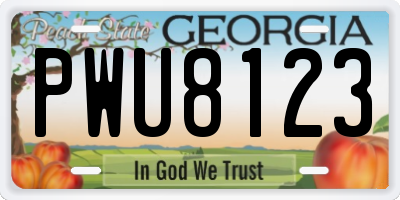 GA license plate PWU8123