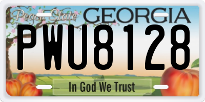 GA license plate PWU8128