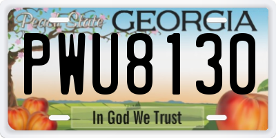 GA license plate PWU8130