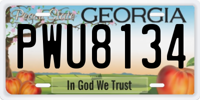 GA license plate PWU8134