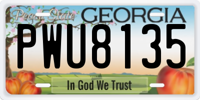 GA license plate PWU8135