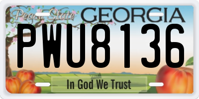 GA license plate PWU8136