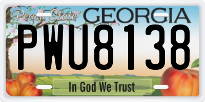 GA license plate PWU8138