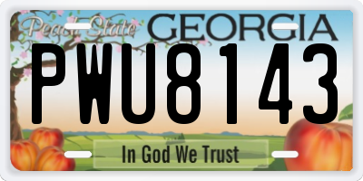 GA license plate PWU8143