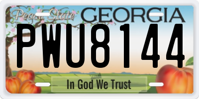 GA license plate PWU8144