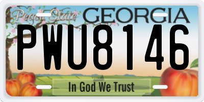 GA license plate PWU8146