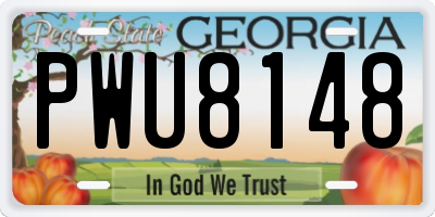 GA license plate PWU8148
