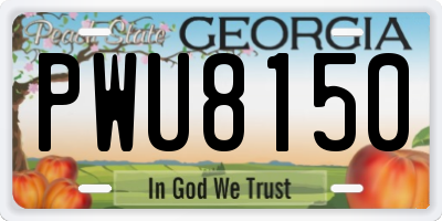GA license plate PWU8150