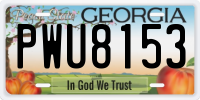 GA license plate PWU8153