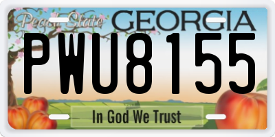 GA license plate PWU8155