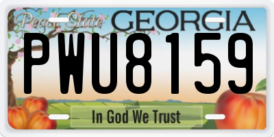 GA license plate PWU8159