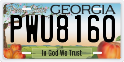 GA license plate PWU8160