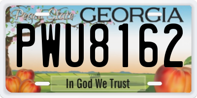 GA license plate PWU8162