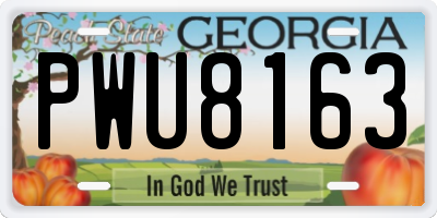 GA license plate PWU8163