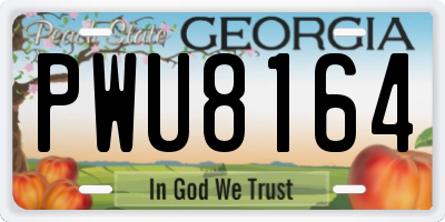 GA license plate PWU8164