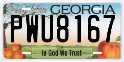 GA license plate PWU8167