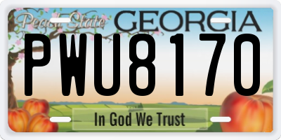 GA license plate PWU8170