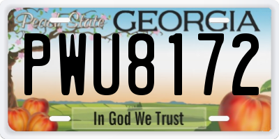 GA license plate PWU8172
