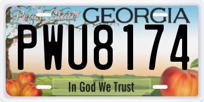GA license plate PWU8174