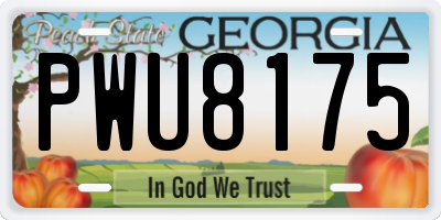 GA license plate PWU8175