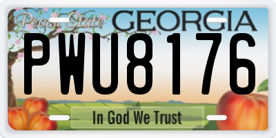 GA license plate PWU8176