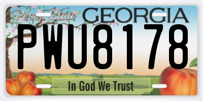GA license plate PWU8178