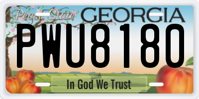 GA license plate PWU8180