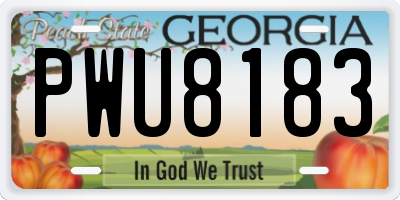 GA license plate PWU8183