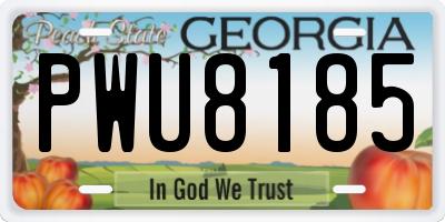 GA license plate PWU8185