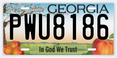 GA license plate PWU8186