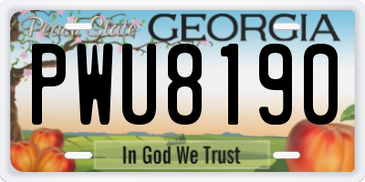 GA license plate PWU8190