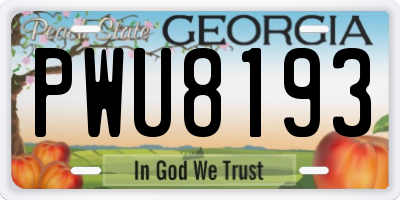GA license plate PWU8193