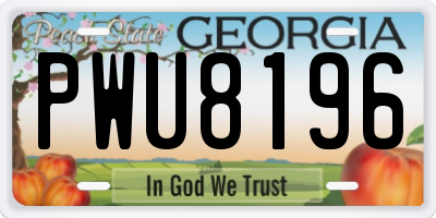 GA license plate PWU8196
